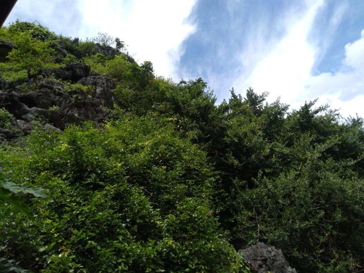 Ali Homestay Ninh Binh Eksteriør billede