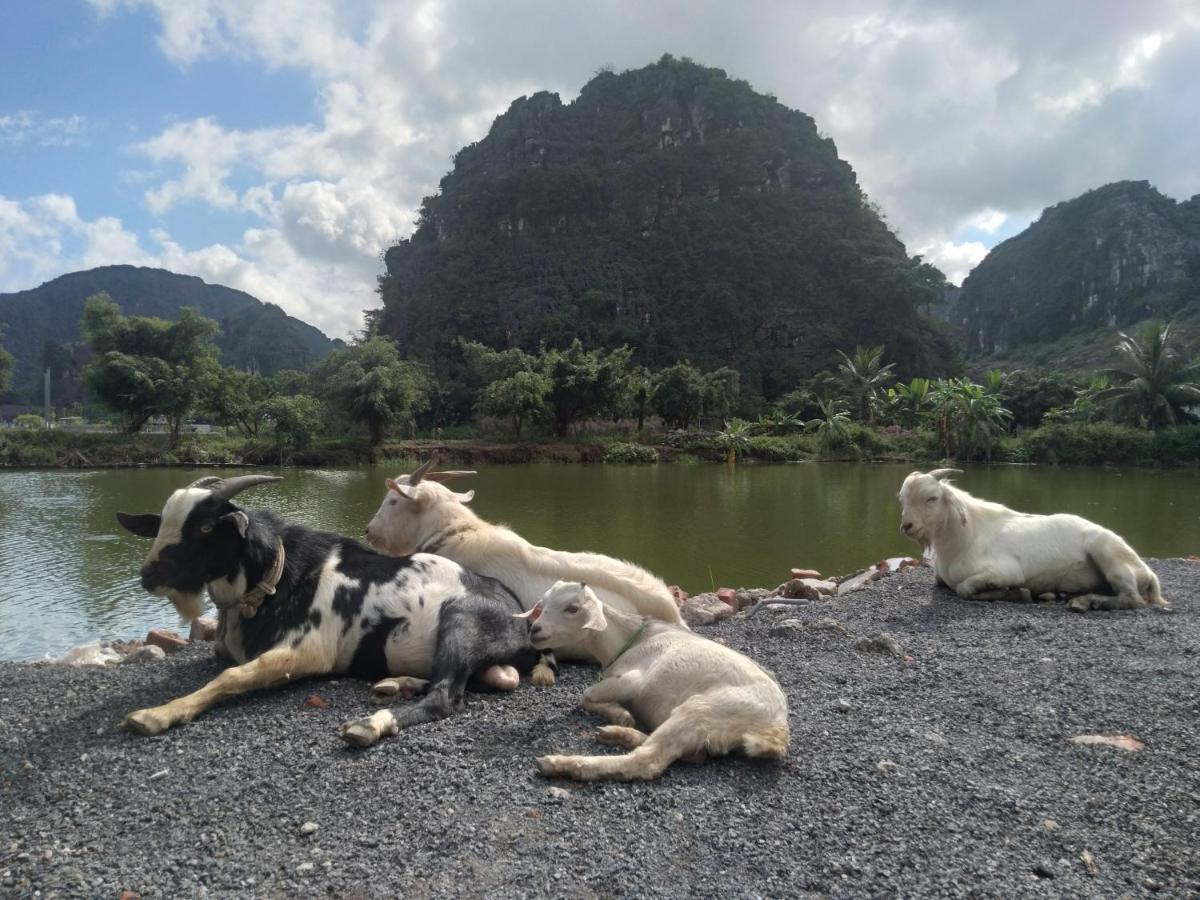 Ali Homestay Ninh Binh Eksteriør billede