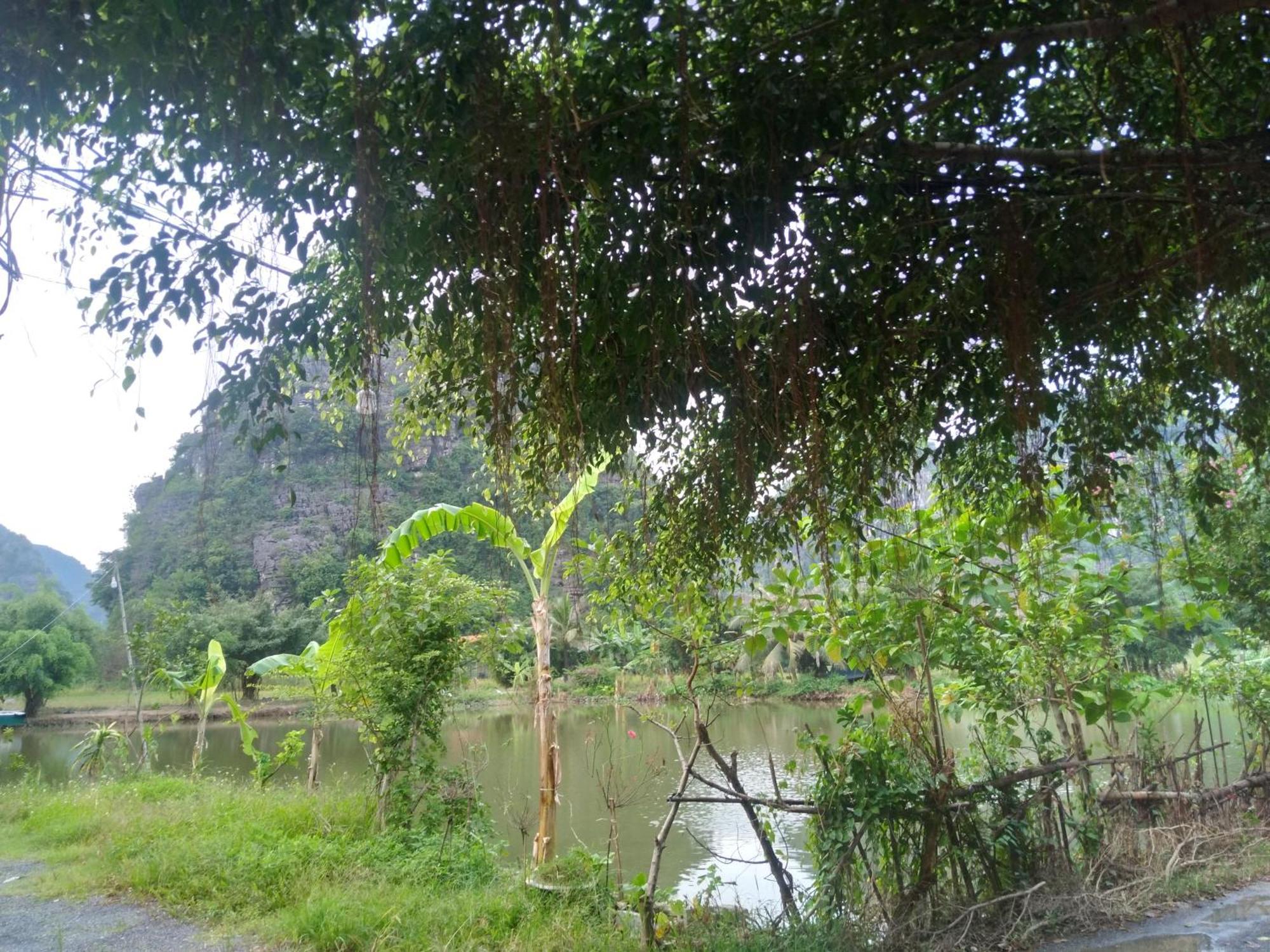 Ali Homestay Ninh Binh Eksteriør billede